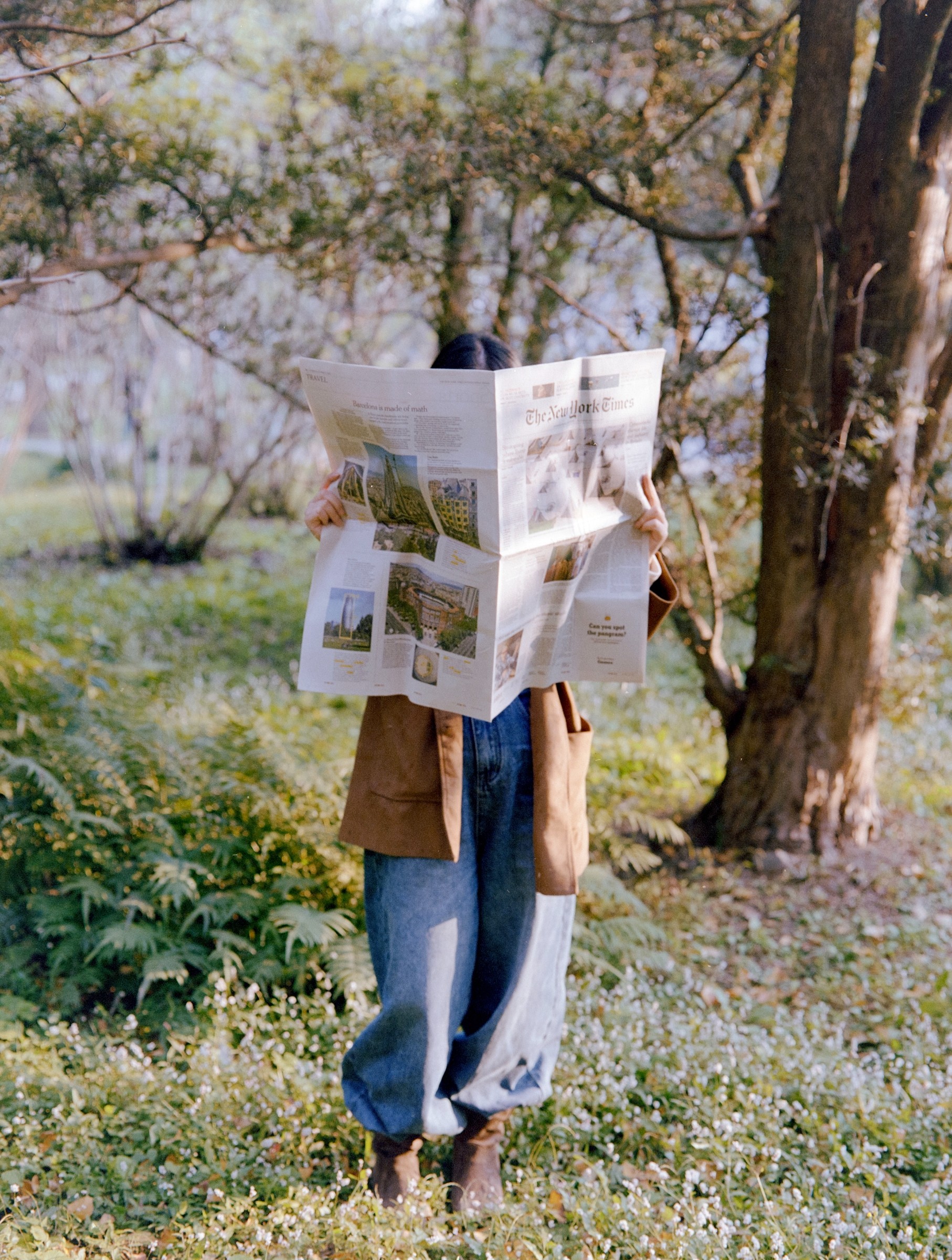Woman holding an open newspaper beneath a flowering tree